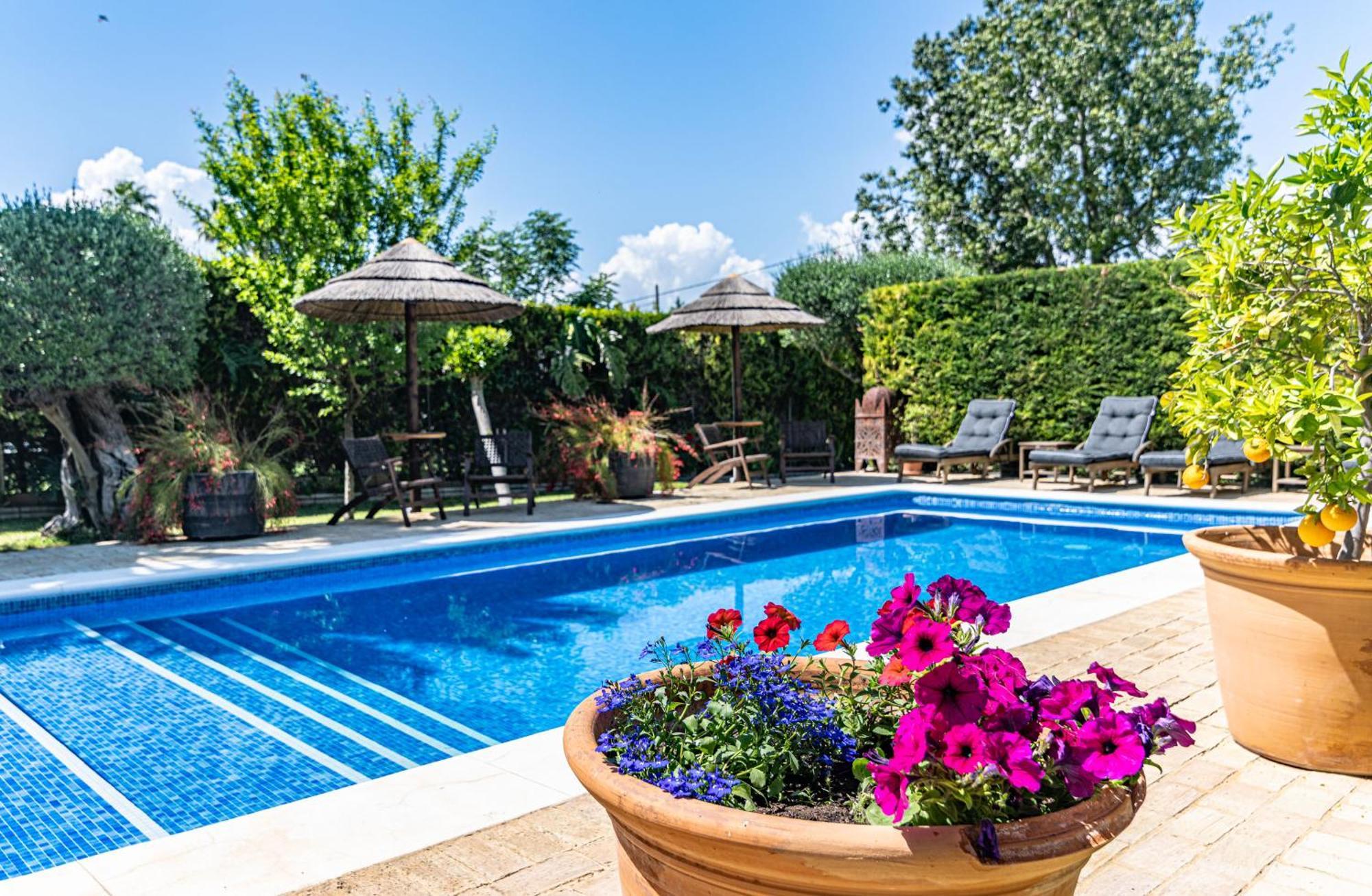 B&B Casa Adelante Sevilla Espartinas Εξωτερικό φωτογραφία